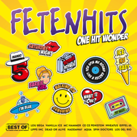 Verschiedene Interpreten - Fetenhits: One Hit Wonder (Best Of) artwork