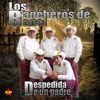 Los Rancheros de Rapel - Por Alguien