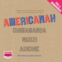 Chimamanda Ngozi Adichie - Americanah artwork