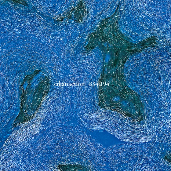 Cover artwork for Moth