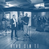 Vivo Sin Ti artwork