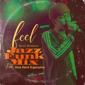 feel Jazz Funk Mix (feat. Shine Relish Organization) artwork