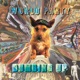 DUMBING UP cover art