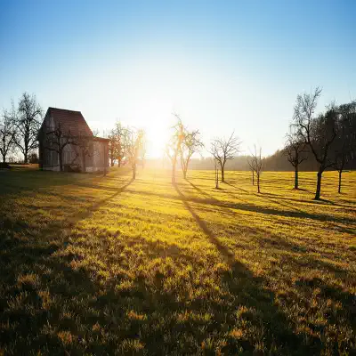 Good Morning - Single - Cycle