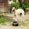 La cadena - Single