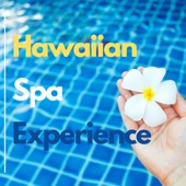 Hawaiian Spa Experience - Hawaii Style Wellness Center Background Music artwork