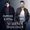 Şu Benim Divane Gönlüm - Single