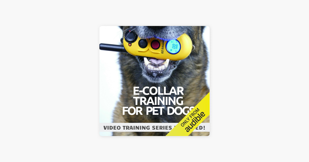 ‎ECollar Training for Pet Dogs The Only Resource You’ll Need to Train