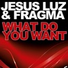 What Do You Want (Remixes)