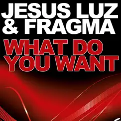 What Do You Want (Extended Mix) Song Lyrics