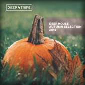 Deep House Autumn Selection 2019 artwork