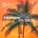 Big Gigantic - Friends (feat. Ashe)