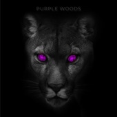 Purple Woods artwork