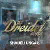 The Dreidel Song - Single album lyrics, reviews, download