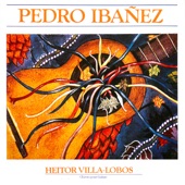 Heitor Villa-Lobos : Oeuvres pour guitare artwork