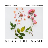 Stay the Same (feat. JC Andersen) artwork