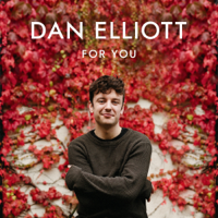 Dan Elliott - For You artwork