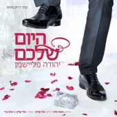 היום שלכם artwork