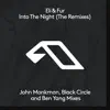 Into the Night (The Remixes) album lyrics, reviews, download