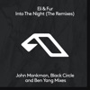 Into the Night (The Remixes)