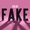 Fake - Single