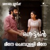 Meene Chembulli Meene (From "Thottappan") - Single