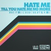 Hate Me Till You Hate Me No More - Single