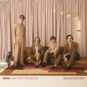 Can't Buy the Mood (Deluxe Edition) artwork