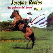 Joropos Recios, Vol. 3 artwork