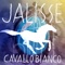 Cavallo bianco artwork