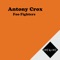 Foo Fighters - Antony Crox lyrics
