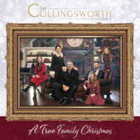 The Collingsworth Family - A True Family Christmas artwork