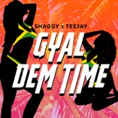 Gyal Dem Time (feat. Teejay) artwork