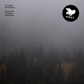 Wind Through Aspen Leaves (feat. Emilia Amper, Eirik Raude & Håkon Mørch Stene) artwork