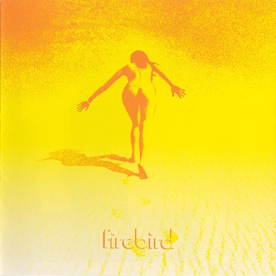 Cover artwork for Torn Down