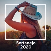 Sertanejo 2020 artwork