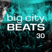 Big City Beats, Vol. 30 (World Club Dome 2019 Edition) artwork
