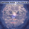 Consciousness - Single