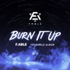 Burn It Up - Single