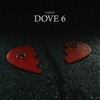 DOVE 6 - Single