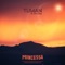 Princessa (feat. Ryzan) - TUMAN lyrics