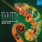 Variety - The Art of Variation. Works for Violin by Biber, Fux & Schmelzer artwork