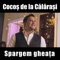 Nebun Din Iubire (feat. Narcisa) - Cocos de la Calarasi lyrics