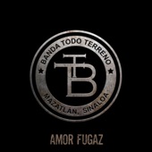 Amor Fugaz artwork