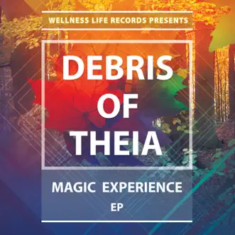 Magic Experience EP by Debris of Theia album reviews, ratings, credits