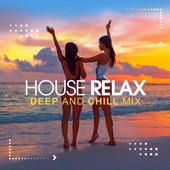 House Relax, Vol. 7 (Deep and Chill Mix) artwork