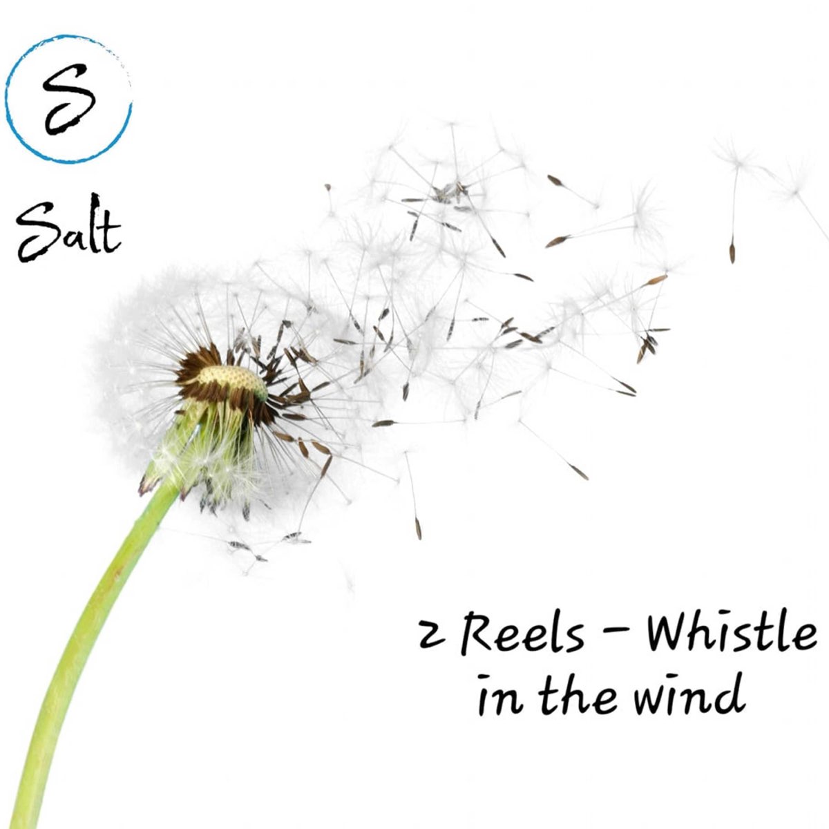 Wind whistle. • Whistle up the Wind. Wind with Salt. Vanilla hair - Salt and Wind..