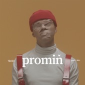 Promin artwork