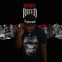 Different Breed - EP by Cashtank album reviews, ratings, credits