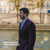 Piano Covers Vol. 16 (Tribute To Avicii) - Niko Kotoulas